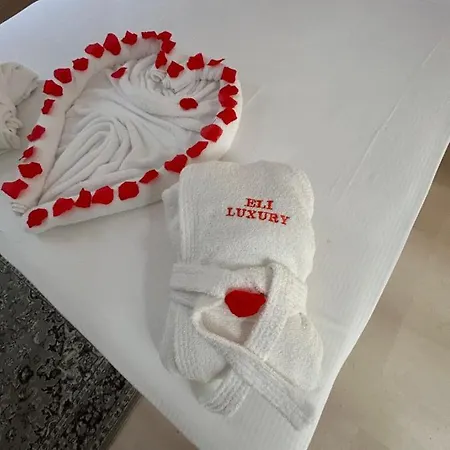 Eli Luxury Apartment *